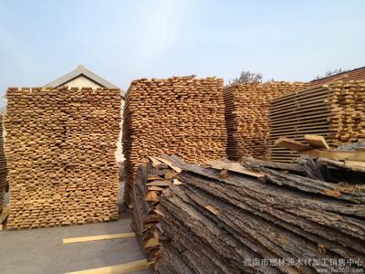 胶南市懋林源木材加工销售中心 优质木材销售服务专家